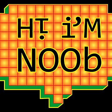 Noob Definition Print Man Cave Decor Gaming Print Gamer 