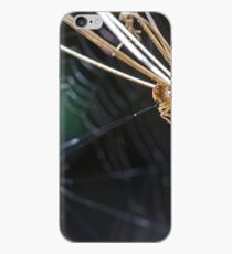 Spider iPhone Case