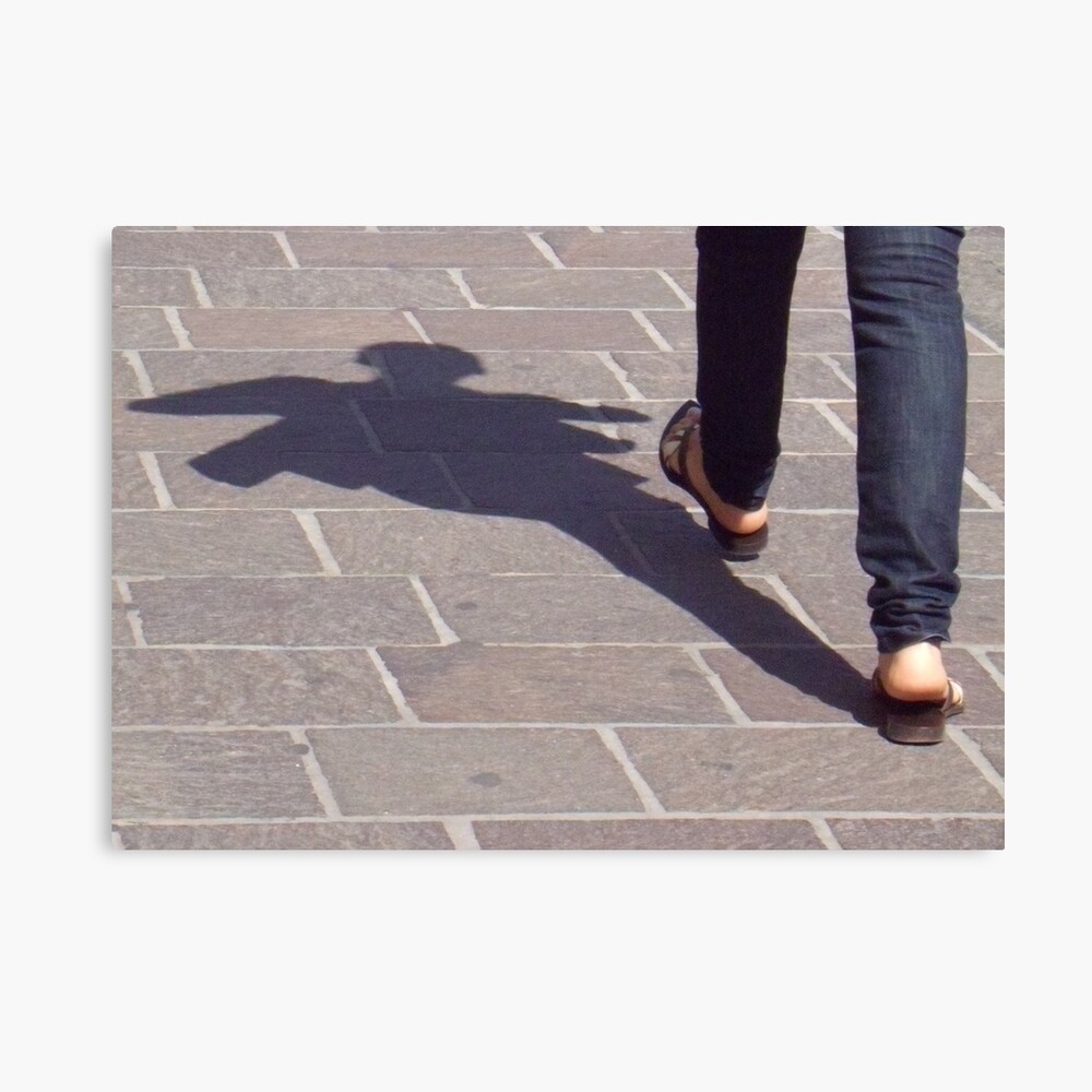 Winged shadow, Bolzano/Bozen, Italy Canvas Print