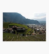 Hillside Vineyard, Bolzano/Bozen, Italy Photographic Print