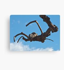 "Spider", Bolzano/Bozen, Italy Canvas Print