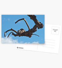 "Spider", Bolzano/Bozen, Italy Postcards