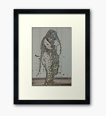 Water Snake, Bolzano/Bozen, Italy Framed Print