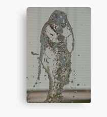 Water Snake, Bolzano/Bozen, Italy Canvas Print