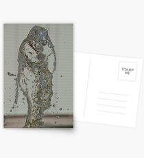 Water Snake, Bolzano/Bozen, Italy Postcards