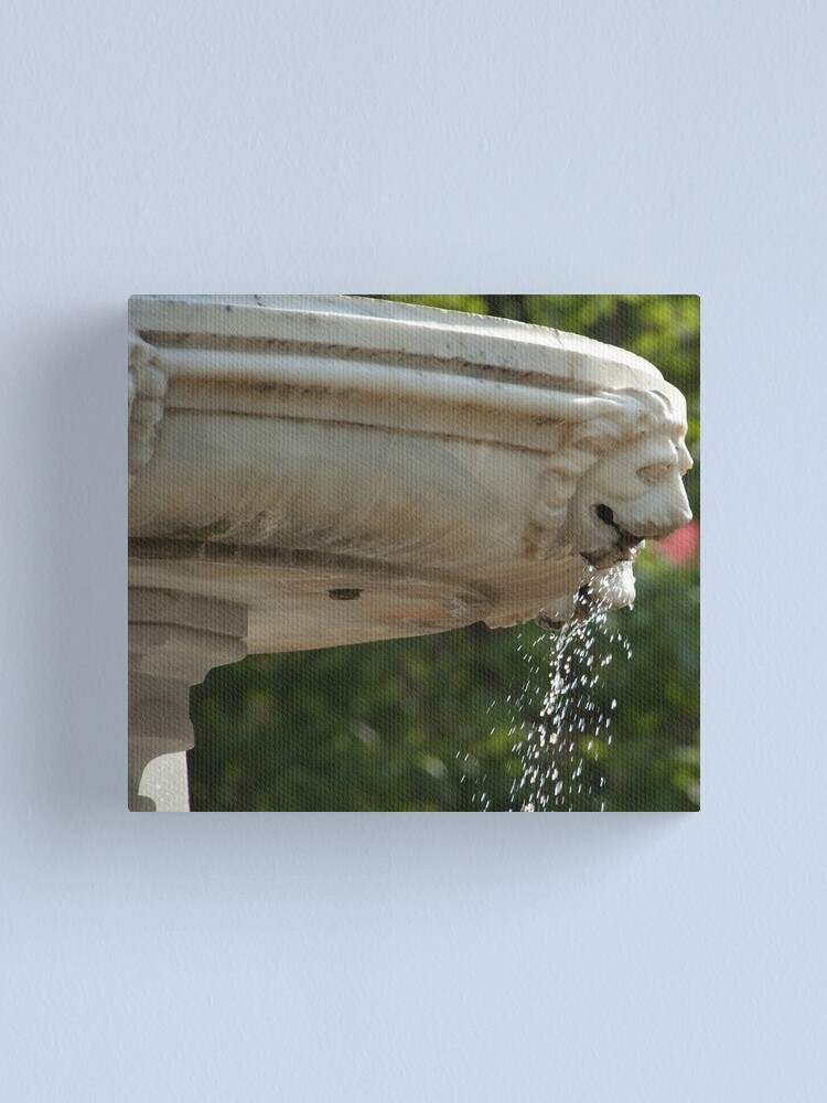 Alternate view of LIon Head Fountain, Piazza Walther, Bolzano/Bozen, Italy Canvas Print