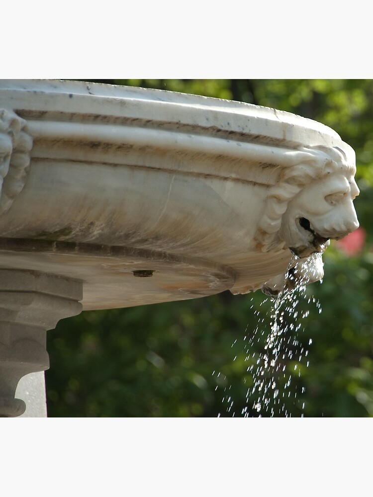 LIon Head Fountain, Piazza Walther, Bolzano/Bozen, Italy by leemcintyre
