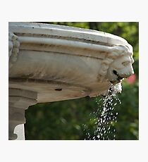 LIon Head Fountain, Piazza Walther, Bolzano/Bozen, Italy Photographic Print
