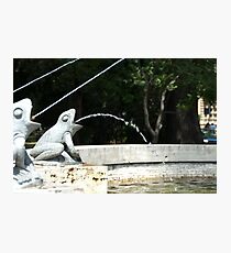 Frog Fountain, Bolzano/Bozen, Italy Photographic Print