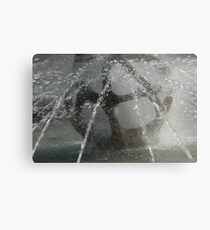 Fountain, Piazza Tribunale, Bolzano/Bozen Metal Print
