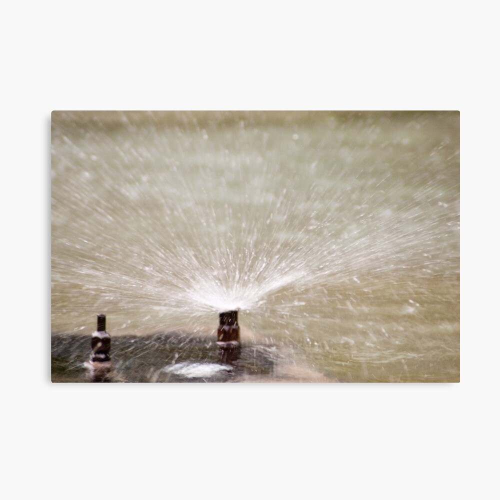 Sprinkler Spray, Vancouver, British Columbia Canvas Print