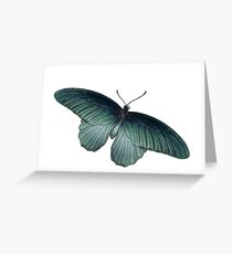 Real Butterfly No. 5 - Metallic Blue-Green Greeting Card