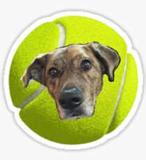 Delilah-Ball Sticker