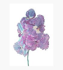 Purple Blossoms Photographic Print