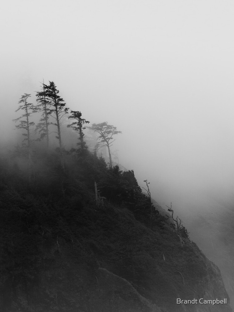 Kingdom of the Mist by brandtcampbell
