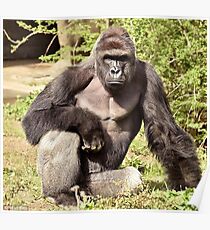 Harambe Poster