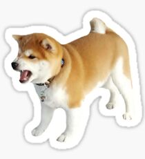 Shiba Scream Sticker