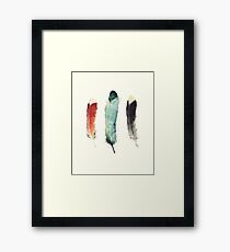 Feathers Framed Print