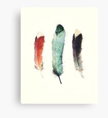 Feathers Canvas Print