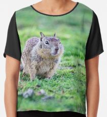 schrill Chiffontop