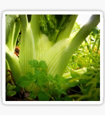 Fantastic Florence Fennel Sticker