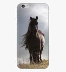 Sunlit fell ponies iPhone Case
