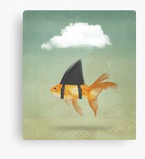 Under a Cloud, Goldfish with a Shark fin Canvas Print