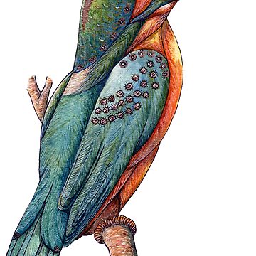 Artwork thumbnail, Kingfisher Bird by Bioinspirada