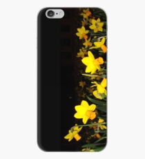 daffs.on.blk iPhone Case