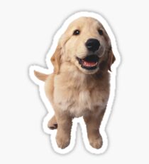 Puppy! Retriever! Sticker