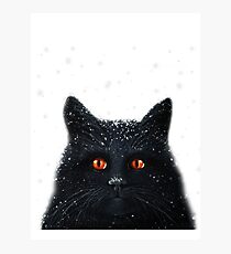 Black Cats Get a Bad Rap - cat art Photographic Print