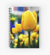 Tulpen (horizontal) Spiralblock