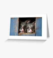 "Poppy & Ivy" Brushtail Possums Greeting Card