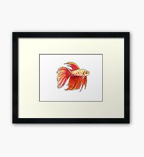 Fish 3 Framed Print