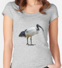 Neutral Ibis Women's Fitted Scoop T-Shirt