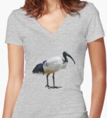 Neutral Ibis Women's Fitted V-Neck T-Shirt