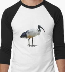 Neutral Ibis Men's Baseball ¾ T-Shirt