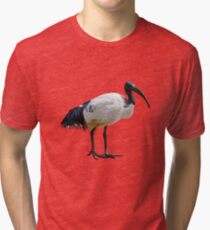 Neutral Ibis Tri-blend T-Shirt