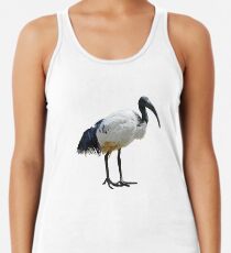 Neutral Ibis Women's Tank Top