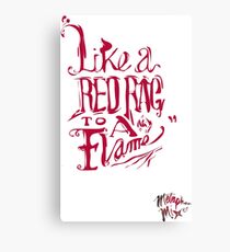 Amusing metaphors Canvas Print