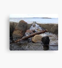 waterway Canvas Print