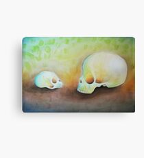 Evolution Canvas Print