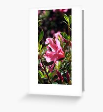 Nectar Greeting Card