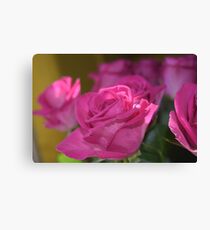 Beautiful Pink Roses Canvas Print