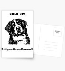 Hold Up !? Postcards