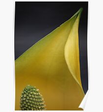 Abstract Yellow Poster