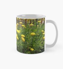 Mystica Penstemon Tasse (Standard)
