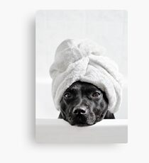 Bath Time Canvas Print