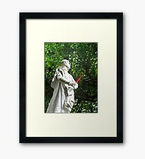 Red feather statue Framed Print