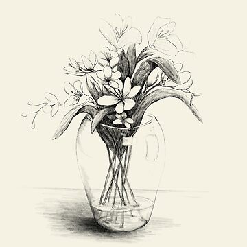 Flower Vase Coloring Page drawing free image download